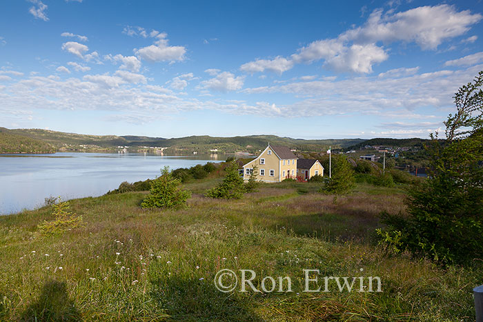 trinity bay newfoundland