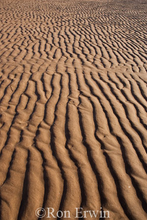 Sand Impressions