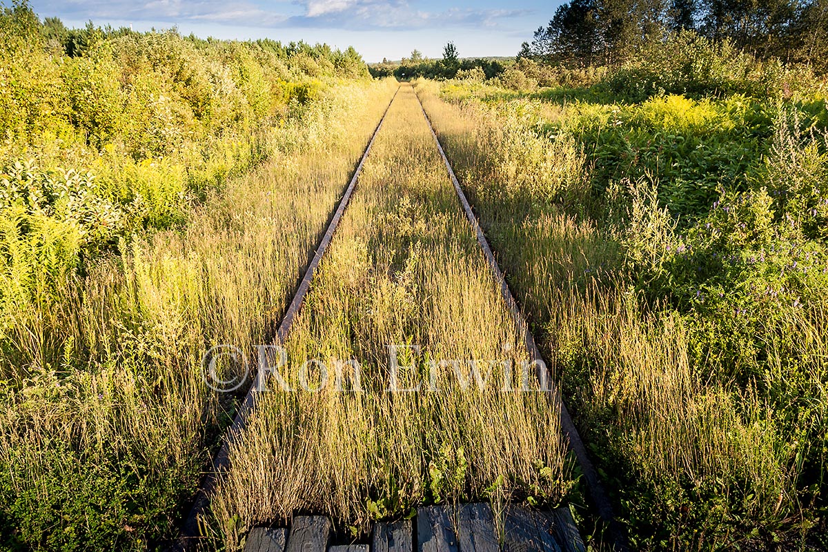 Abandoned Railroad Tracks, NB