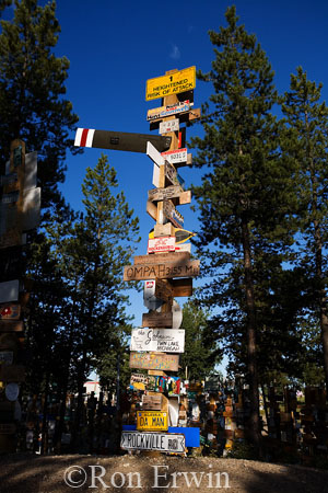 Signpost Forest
