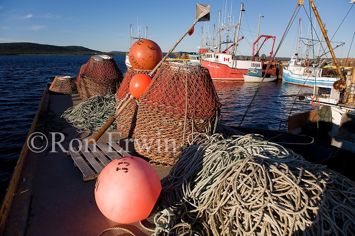 Nets and Traps, Cartwright, NL