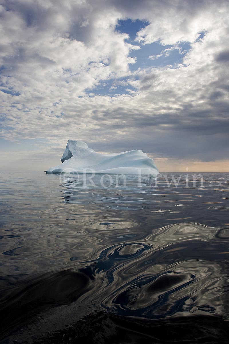 Labrador Iceberg