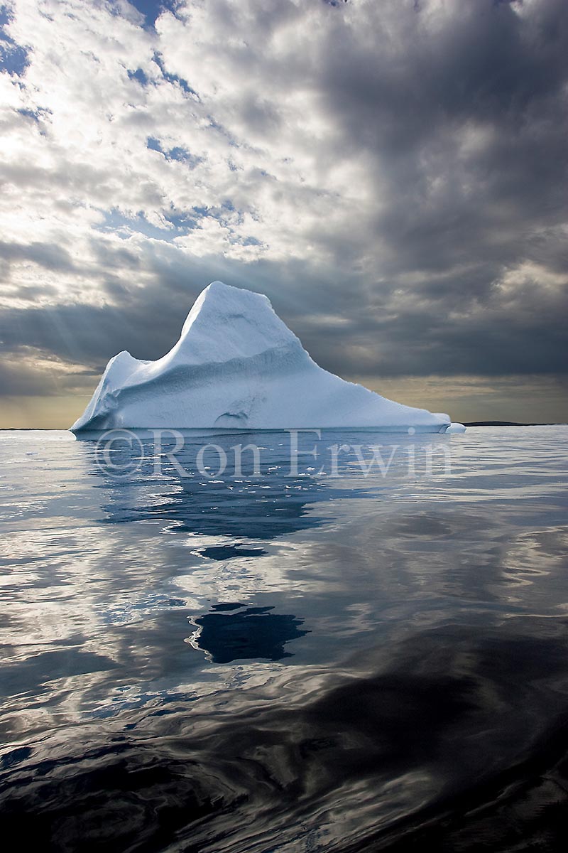 Labrador Iceberg