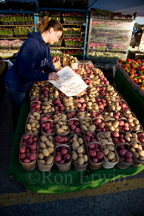 Potatoes at the Farmers' Market
