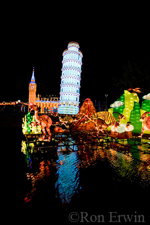 Chinese Lantern Festiva