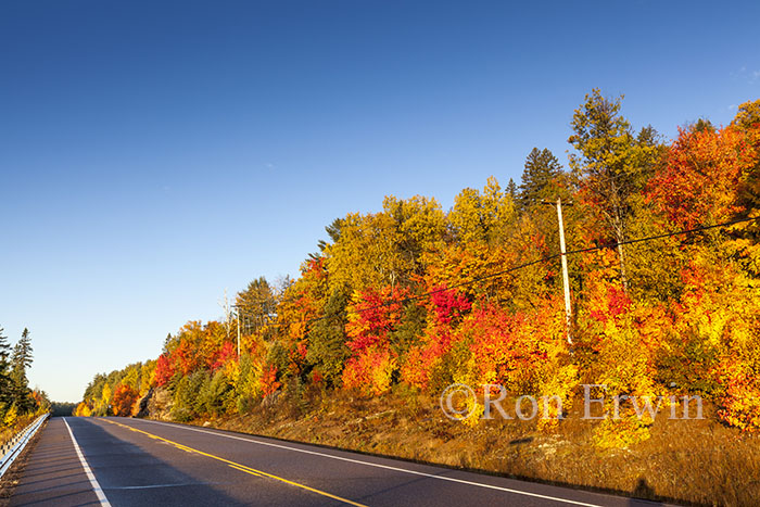 Highway 60 in Autumn