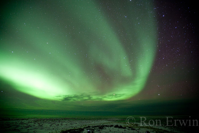 Northern Lights in Manitoba