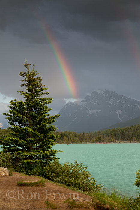 Waterfowl Lake Rainbow