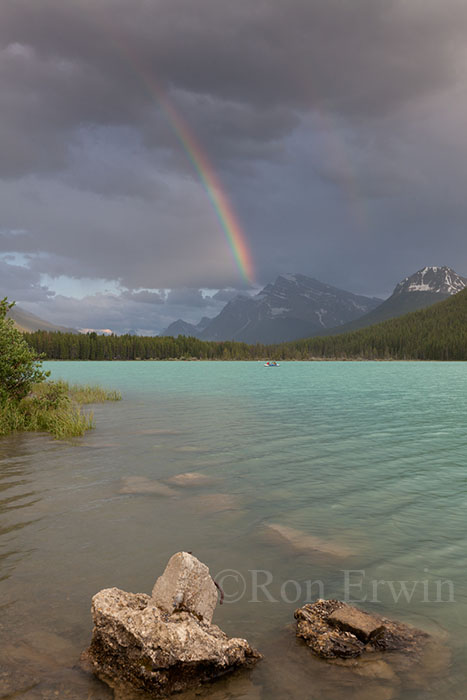 Waterfowl Lake Rainbow