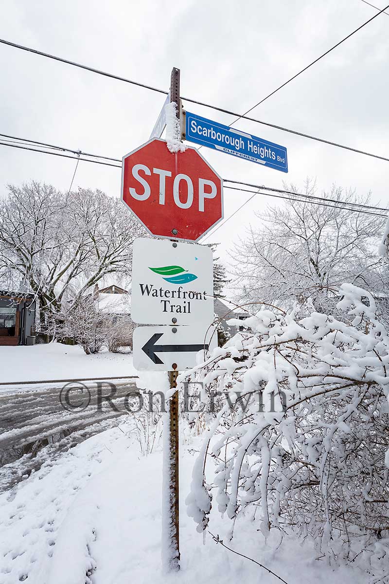 Toronto Stop Sign in Winter