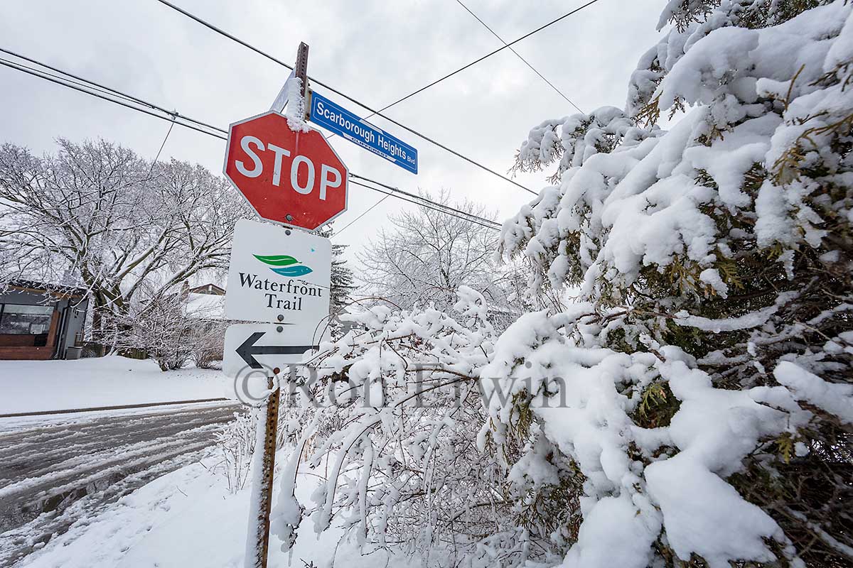 Toronto Stop Sign in Winter