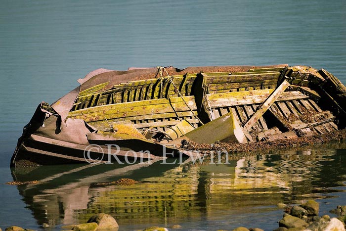 Sunken Boat, BC