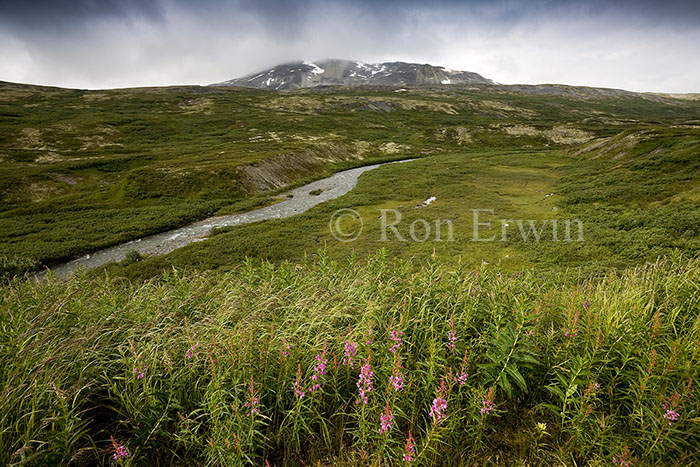 Tatshenshini-Alsek Park