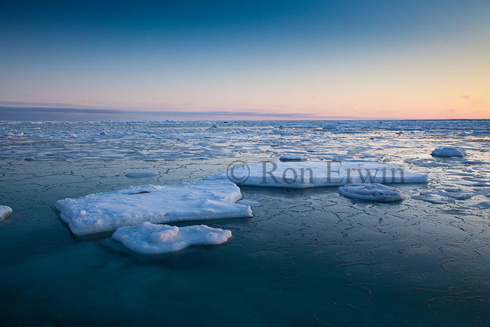 Ice on Hudson Bay, MB