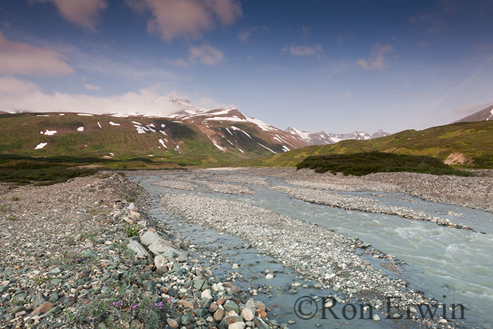 Tatshenshini-Alsek Park