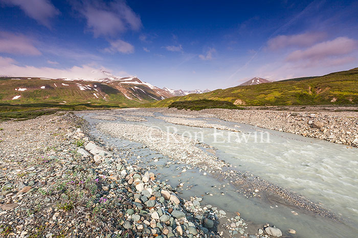 Tatshenshini-Alsek Park