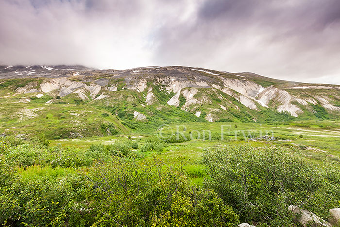 Tatshenshini-Alsek Park