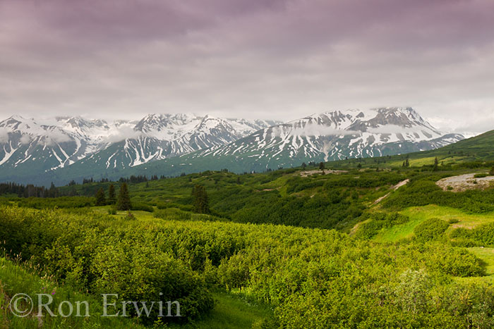 Tatshenshini-Alsek Park, BC