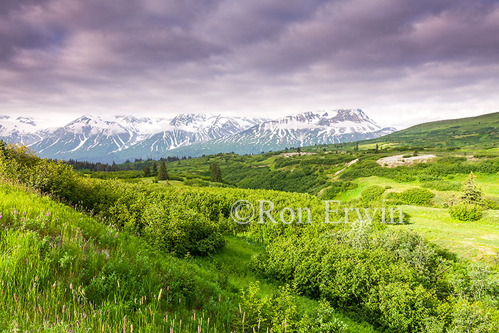 Tatshenshini-Alsek Park