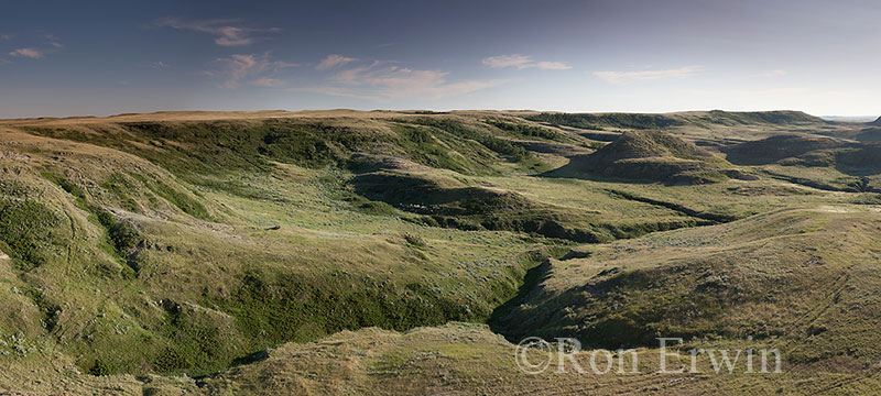 Grasslands National Park