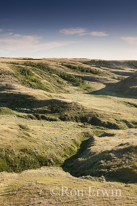 Grasslands National Park