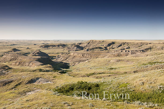 Grasslands National Park