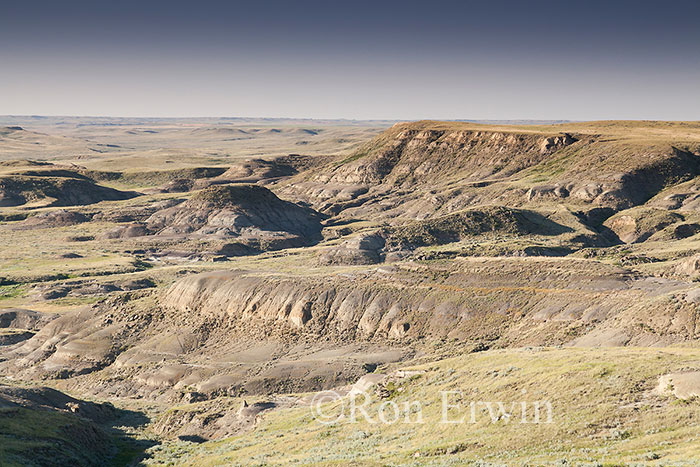 Grasslands National Park