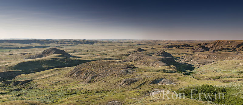 Grasslands National Park