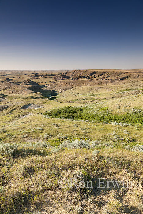 Grasslands National Park