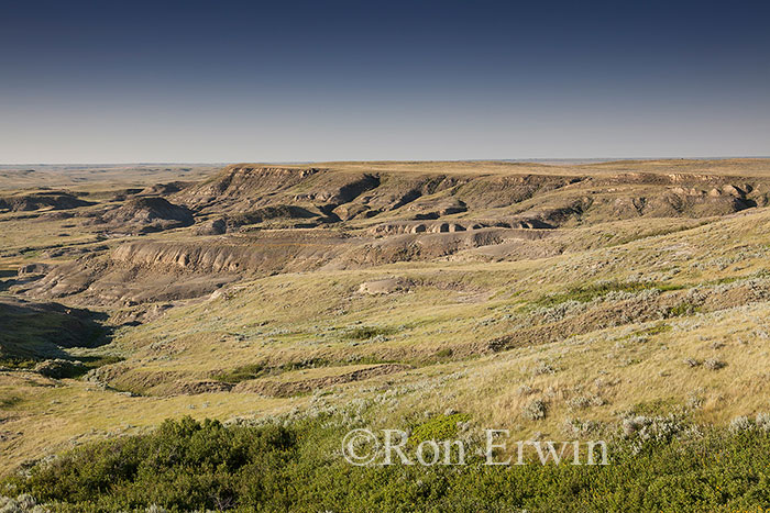 Grasslands National Park