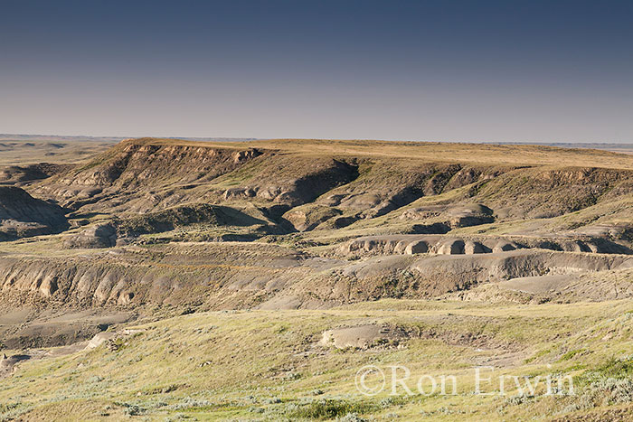 Grasslands National Park