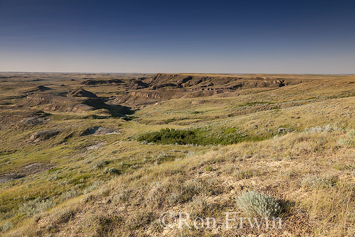 Grasslands National Park