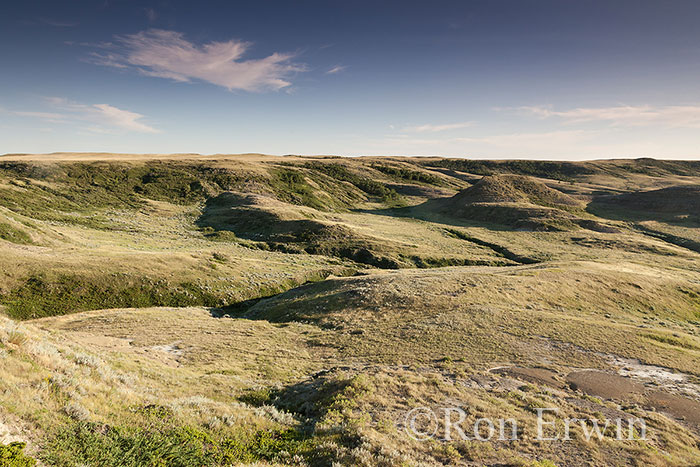 Grasslands National Park