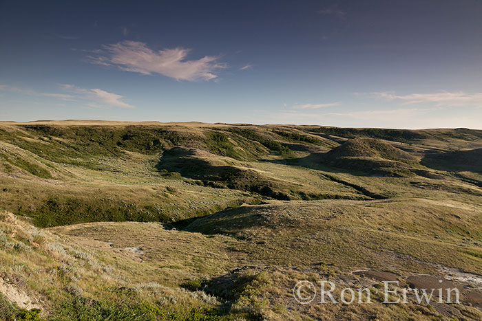 Grasslands National Park