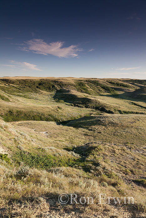 Grasslands National Park