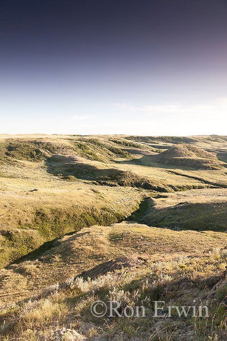 Grasslands National Park