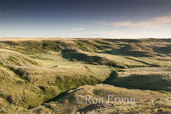 Grasslands National Park