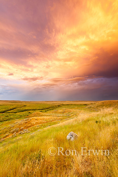 Grasslands National Park