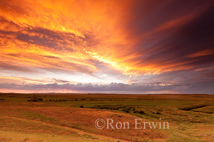 Grasslands National Park, Saskatchewan