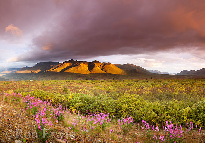 Cloudy Range, Tombstone, YT © Ron Erwin
