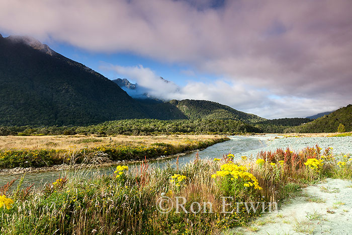 Cascade Creek Campground, NZ
