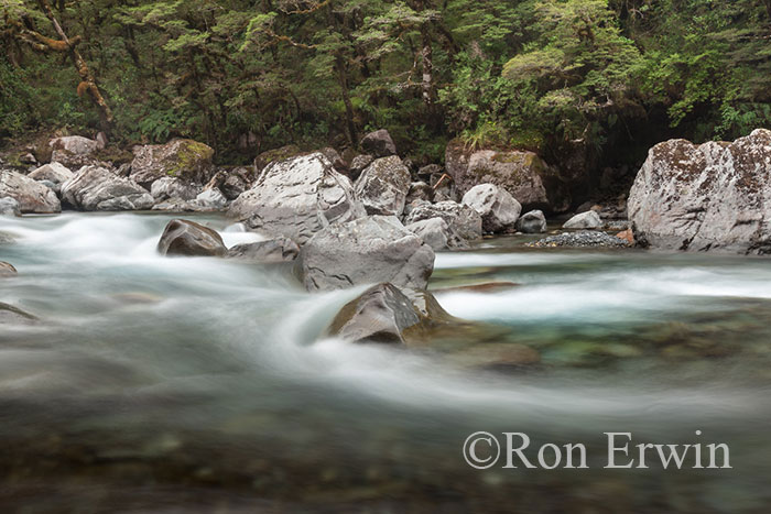 Hollyford River, New Zealand © Ron Erwin