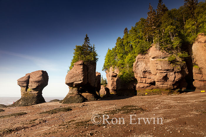 Hopewell Rocks, NB © Ron Erwin