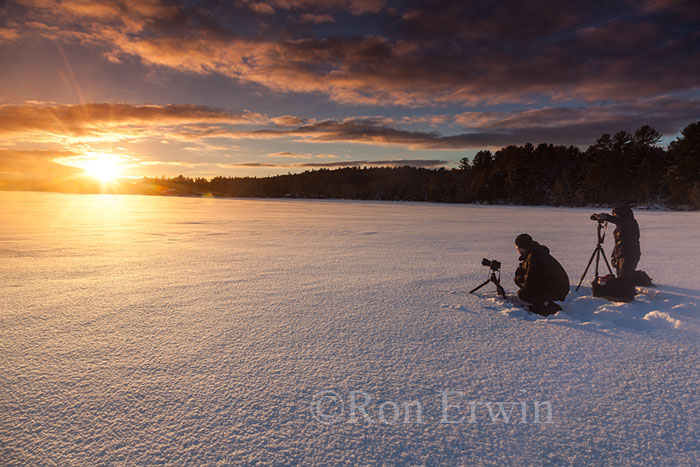 Sunset in Algonquin, ON in Winter © Ron Erwin