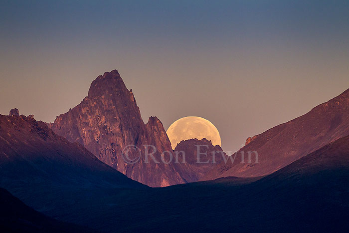 Moon Setting at Tombstone Park, YT