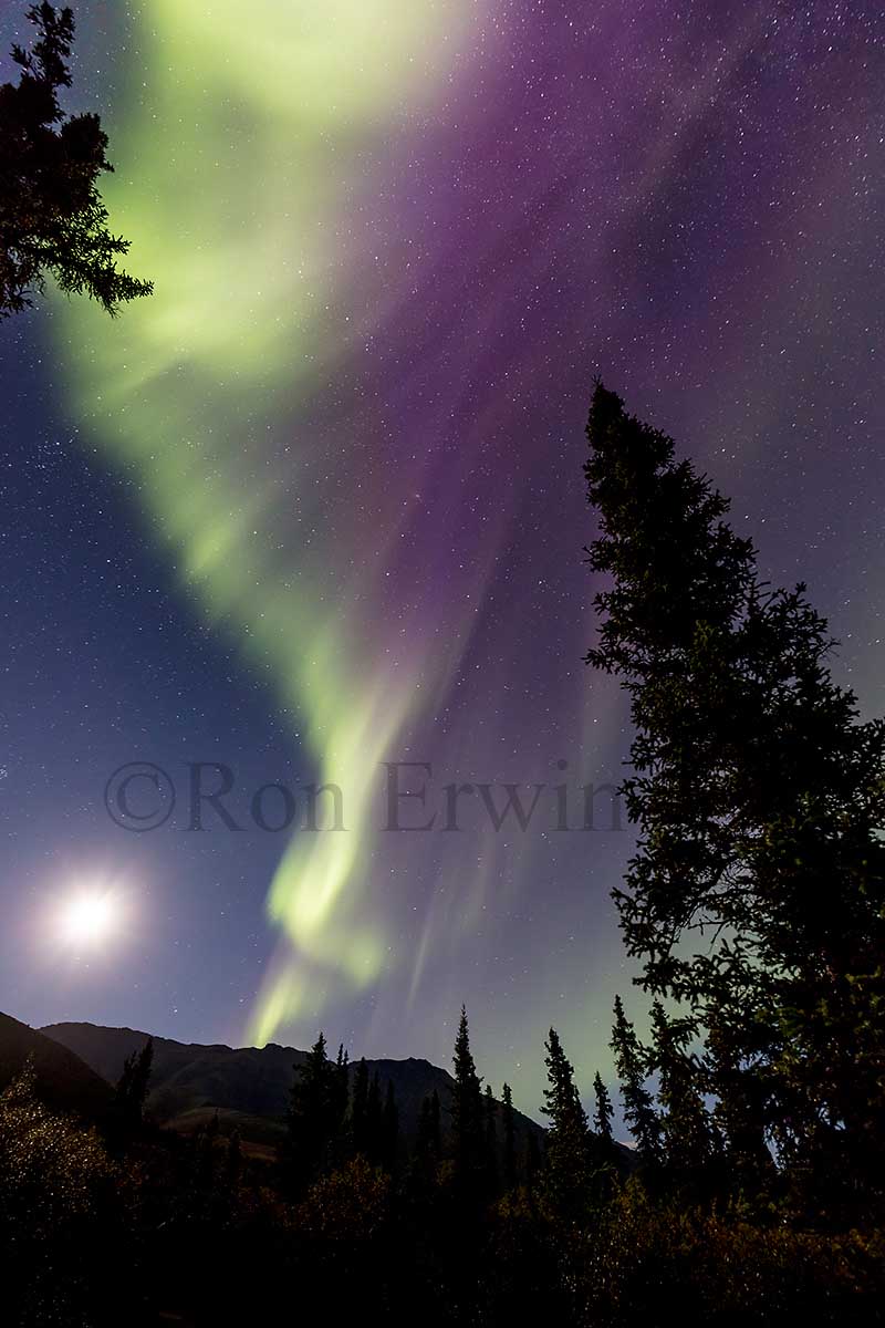 Aurora and Moon, Yukon