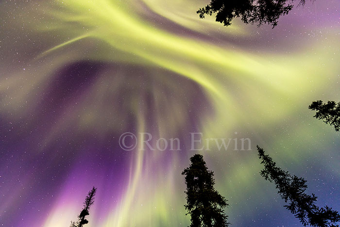 Aurora Borealis at Tombstone Park, YT © Ron Erwin