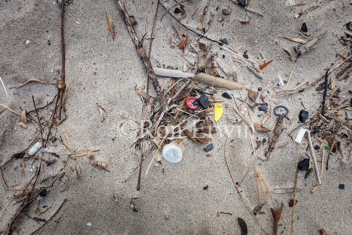 Bluffers Park Beach Garbage