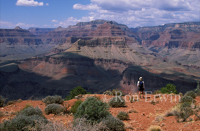 Hiker in the Grand Canyon