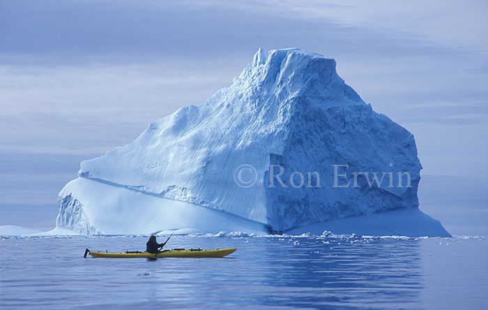 Kayaker & Iceberg at La Scie, NL © Ron Erwin